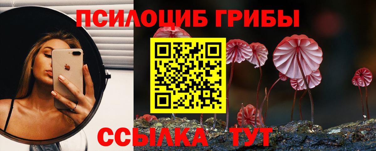 Новоалтайск  Галлюциногенные грибы мухоморы  Вход с VPN 
