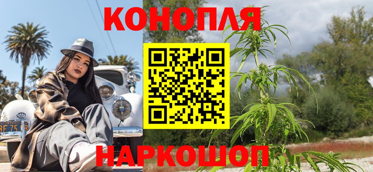 Бошки Шишки сатива Новоалтайск